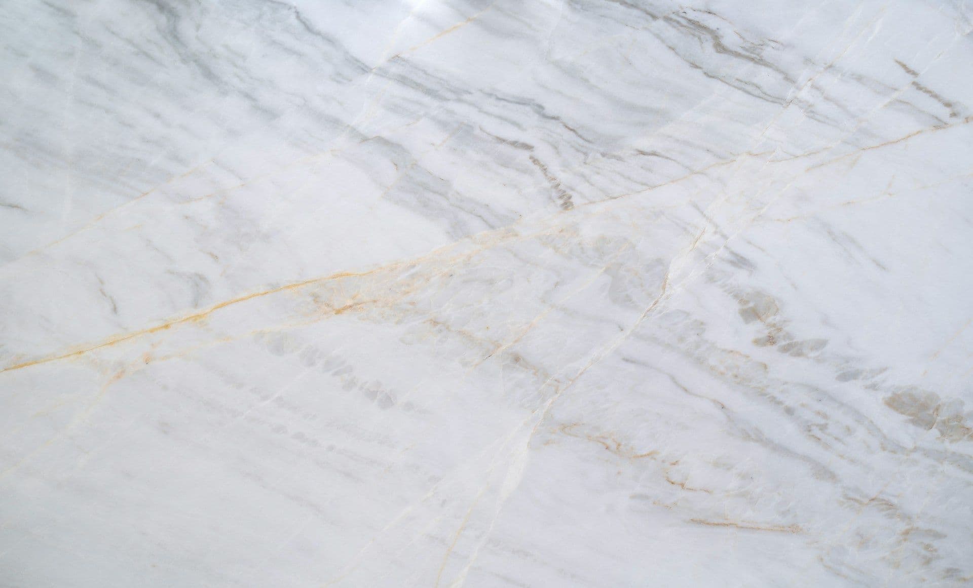 Deep Roots, Modern Approah